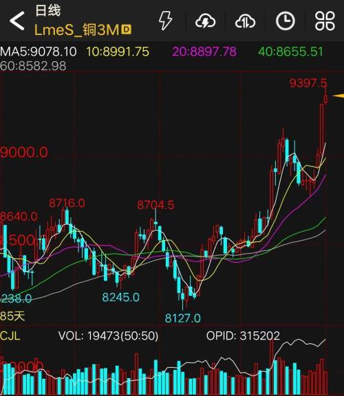 光大期货有色金属类日报（XXXX年XX月XX日）分析概览